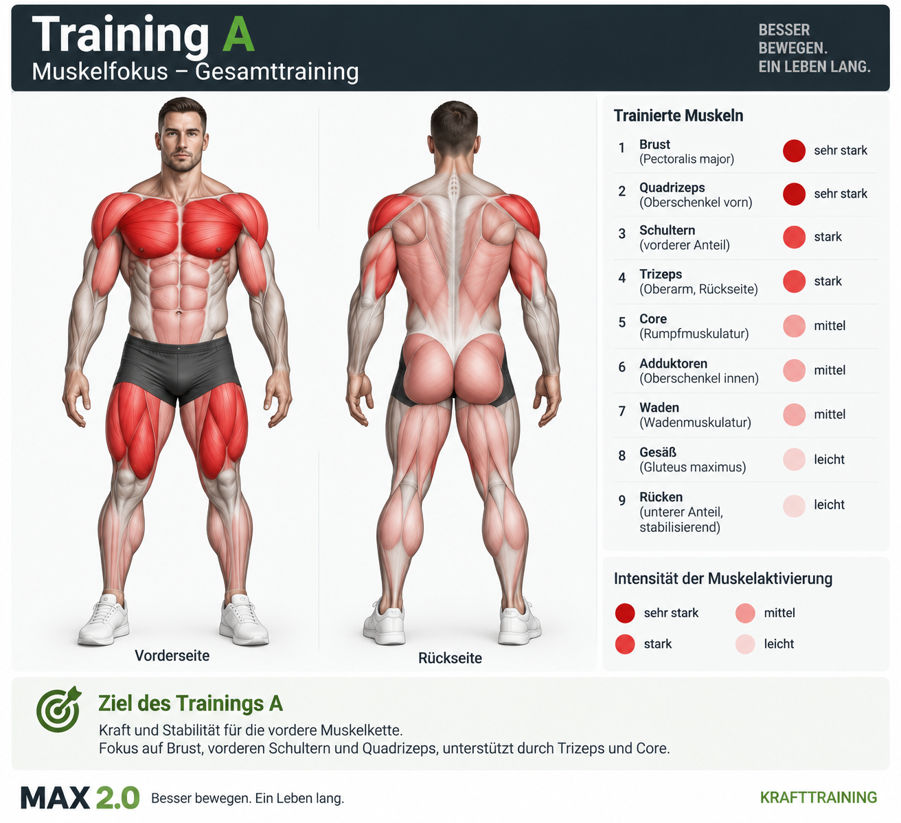 Muskelfokus Training A
