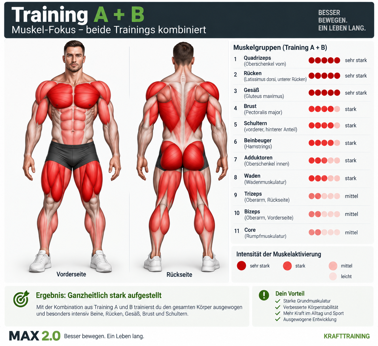 Muskelfokus Training A und B kombiniert
