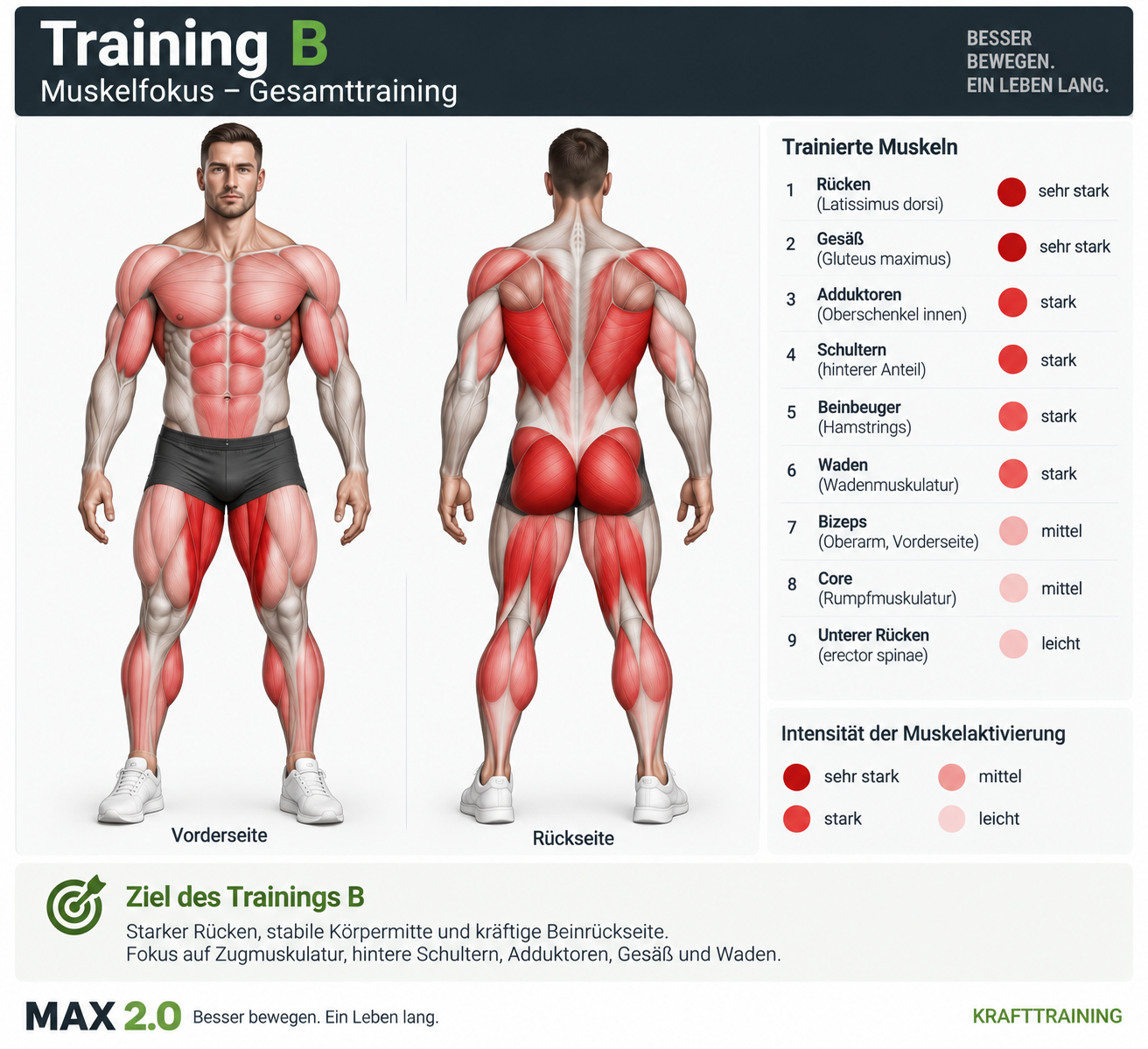 Muskelfokus Training B